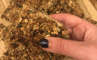 Granola Bars (no added sugar)